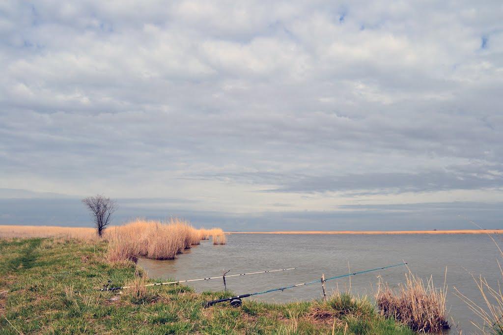 Дарівка з panoramio.com - Дарівка