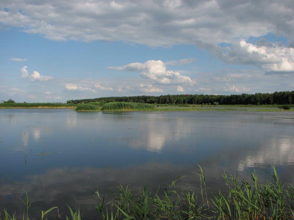 Коритне з panoramio.com - Коритне