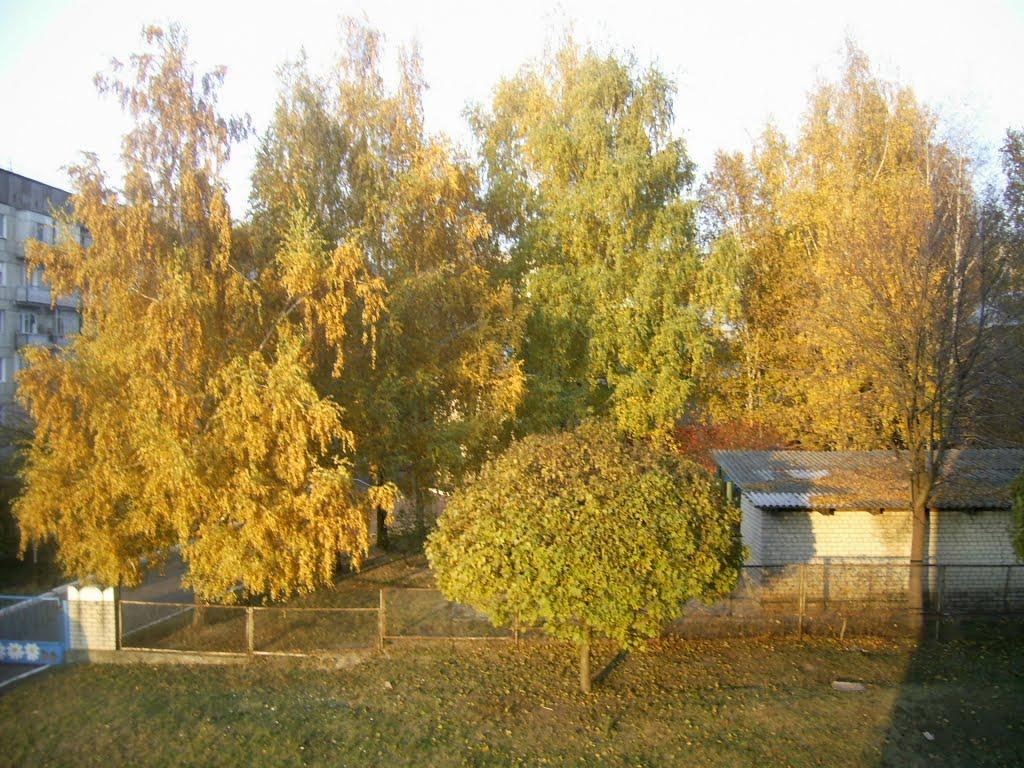 Смоліне з panoramio.com - Смоліне