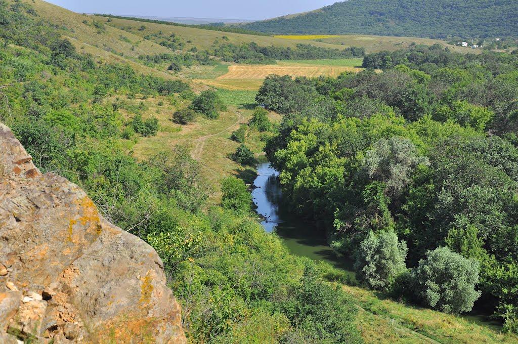 Сіятель з panoramio.com - Сеятель