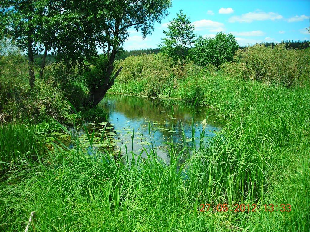 Ватутіне з panoramio.com - Ватутіне