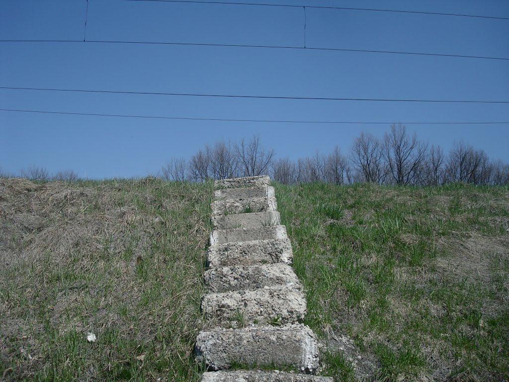 Чапаєвка з panoramio.com - Малые Коростовцы