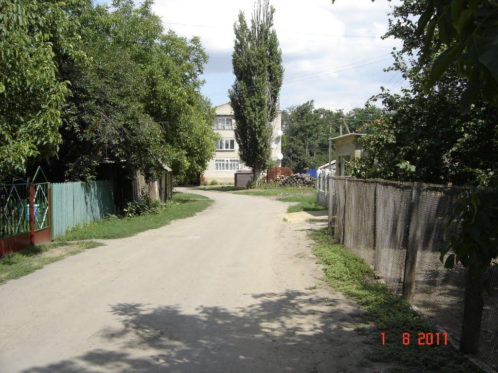 Борщі з panoramio.com - Борщи