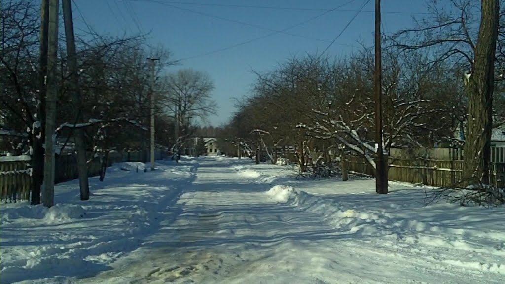 Вишневе з panoramio.com - Вишневе