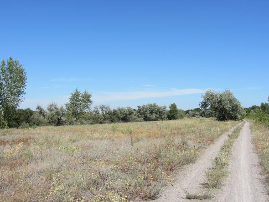 Світловодськ з panoramio.com (ч.2) - Світловодськ