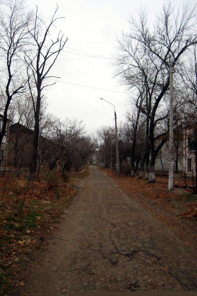 Карпати з panoramio.com - Карпаты