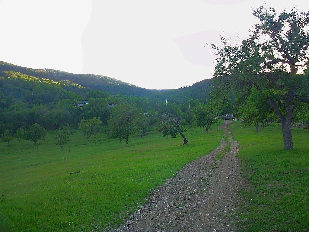 Краснолісся з panoramio.com - Краснолесье