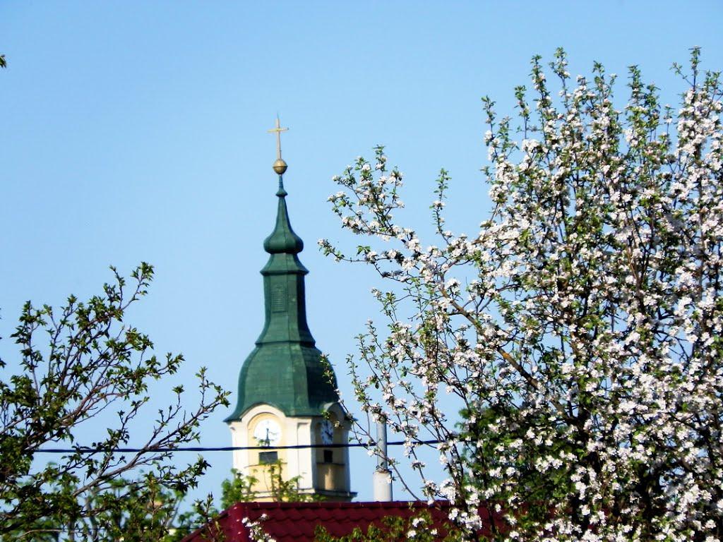 Малі Селменці з panoramio.com - Малые Селлменцы