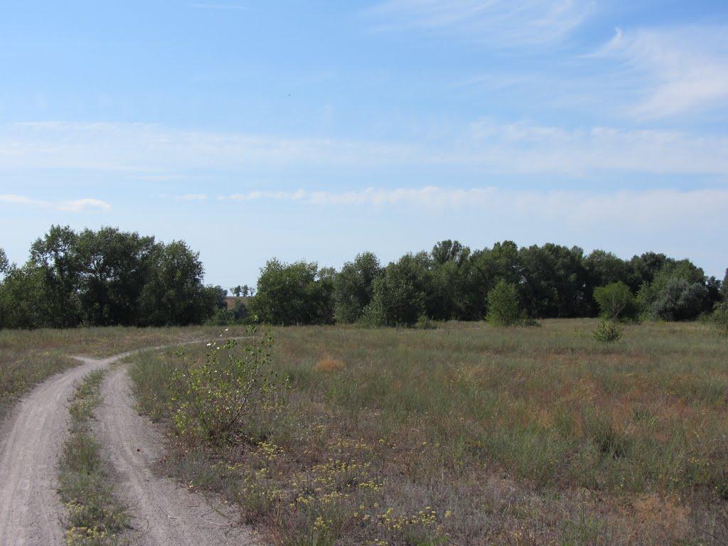 Світловодськ з panoramio.com (ч.2) - Світловодськ