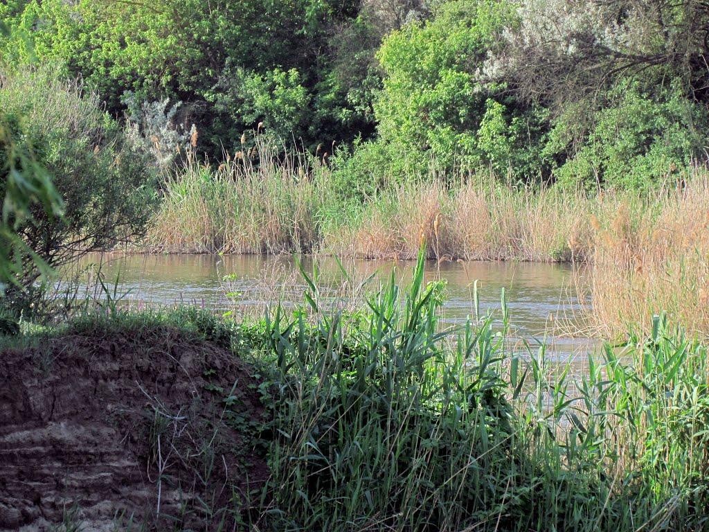 Городуватка з panoramio.com - Городоватка