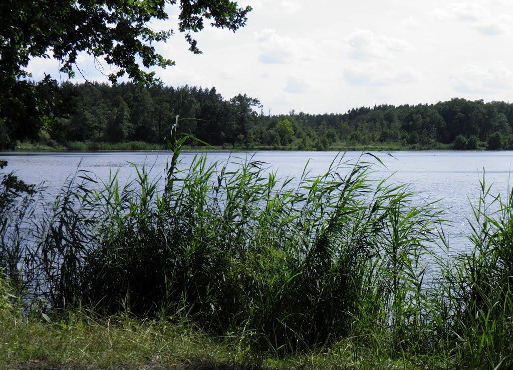 Городок з panoramio.com - Городок