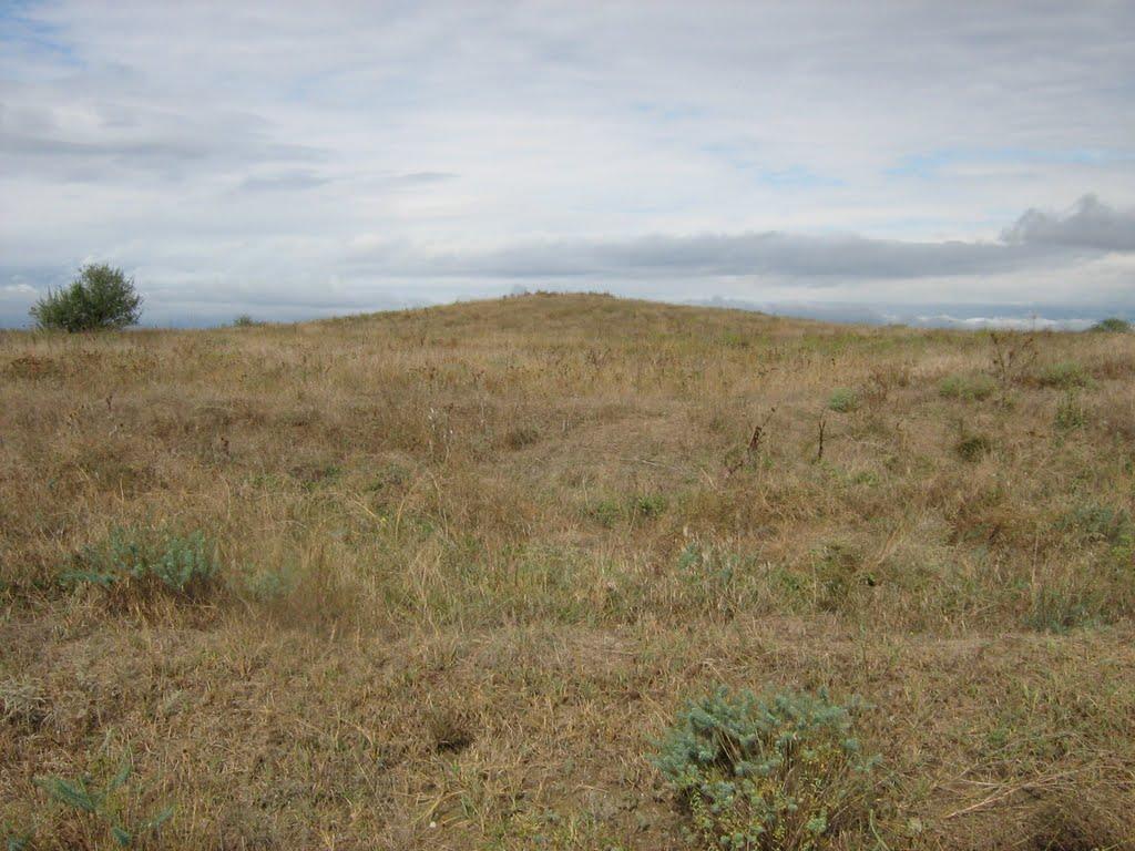 Орлівка з panoramio.com - Orlivka