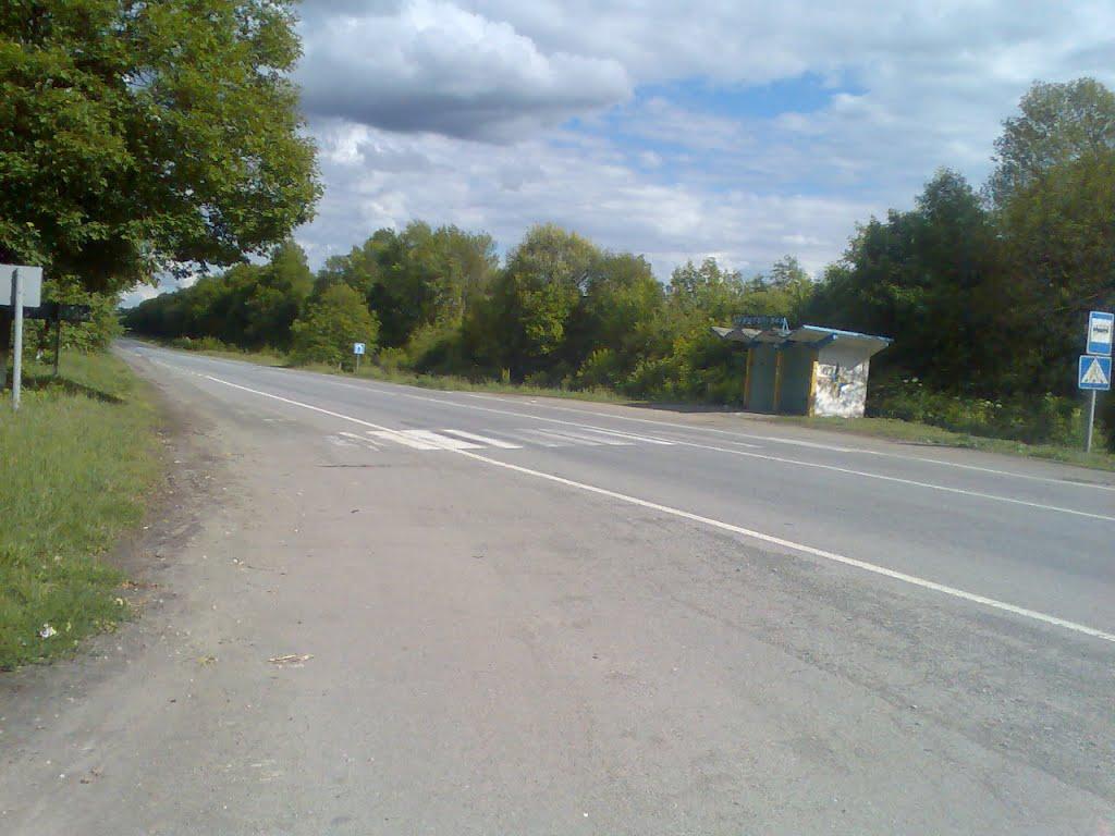 Криштопівка з panoramio.com - Криштопівка