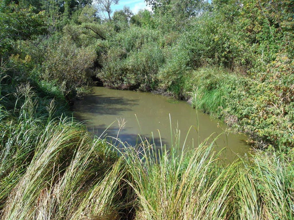 Ялцівка з panoramio.com - Ялцівка