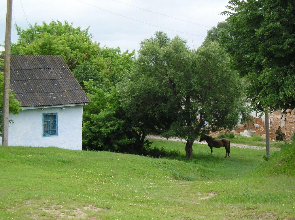 Старий Остропіль з panoramio.com - Старий Остропіль