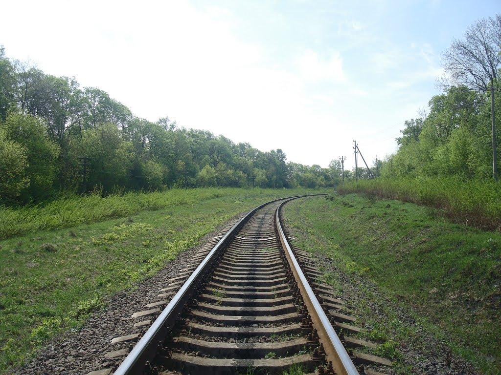 Старі Бейзими з panoramio.com - Старі Бейзими