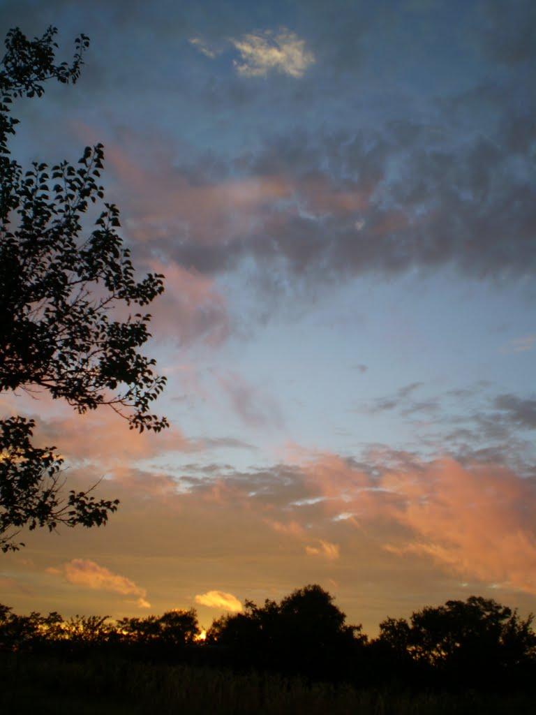 Петриківка з panoramio.com - Петриківка