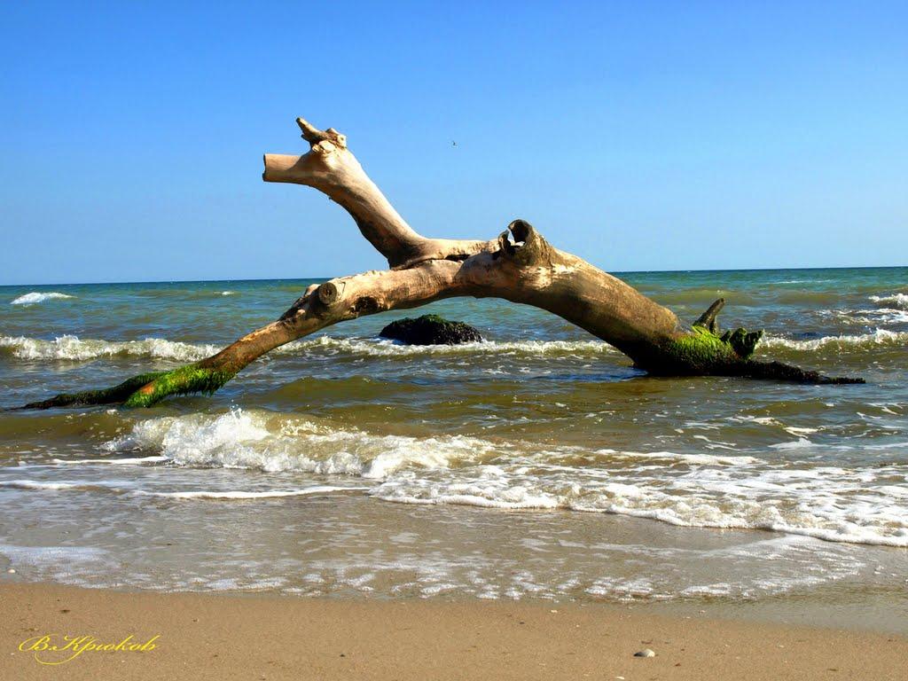 Лебедівка з panoramio.com - Лебедевка