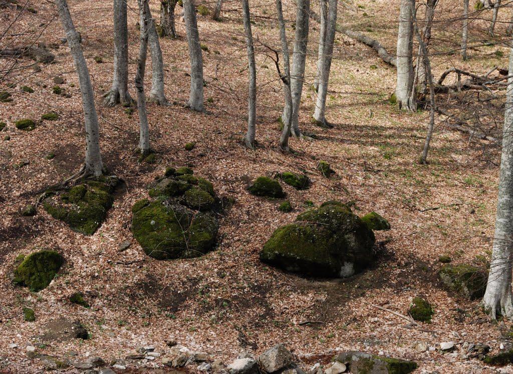Розовий з panoramio.com (ч.2) - Розовий