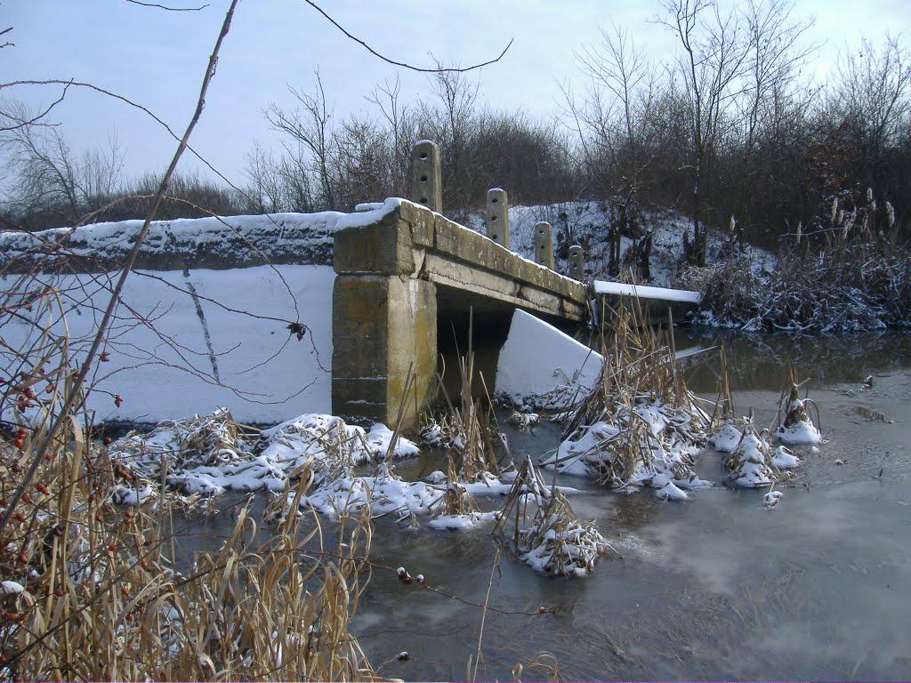 Велика Паладь з panoramio.com - Великая Паладь