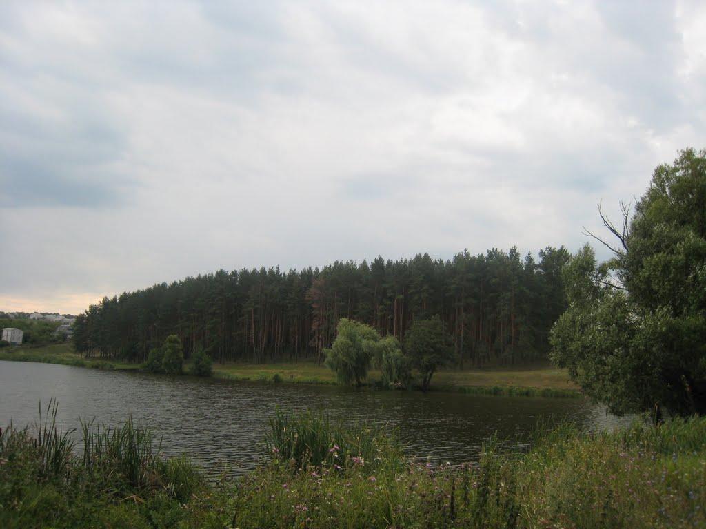 Нова Мерефа з panoramio.com - Нова Мерефа