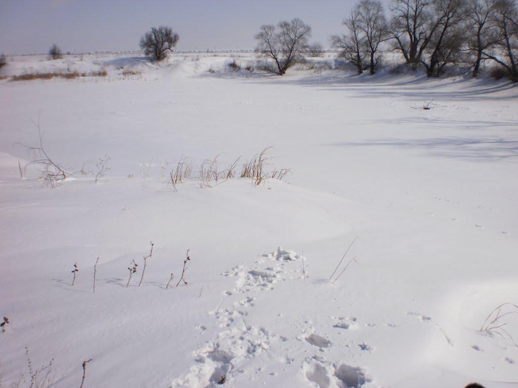 Булавинське з panoramio.com - Булавинське
