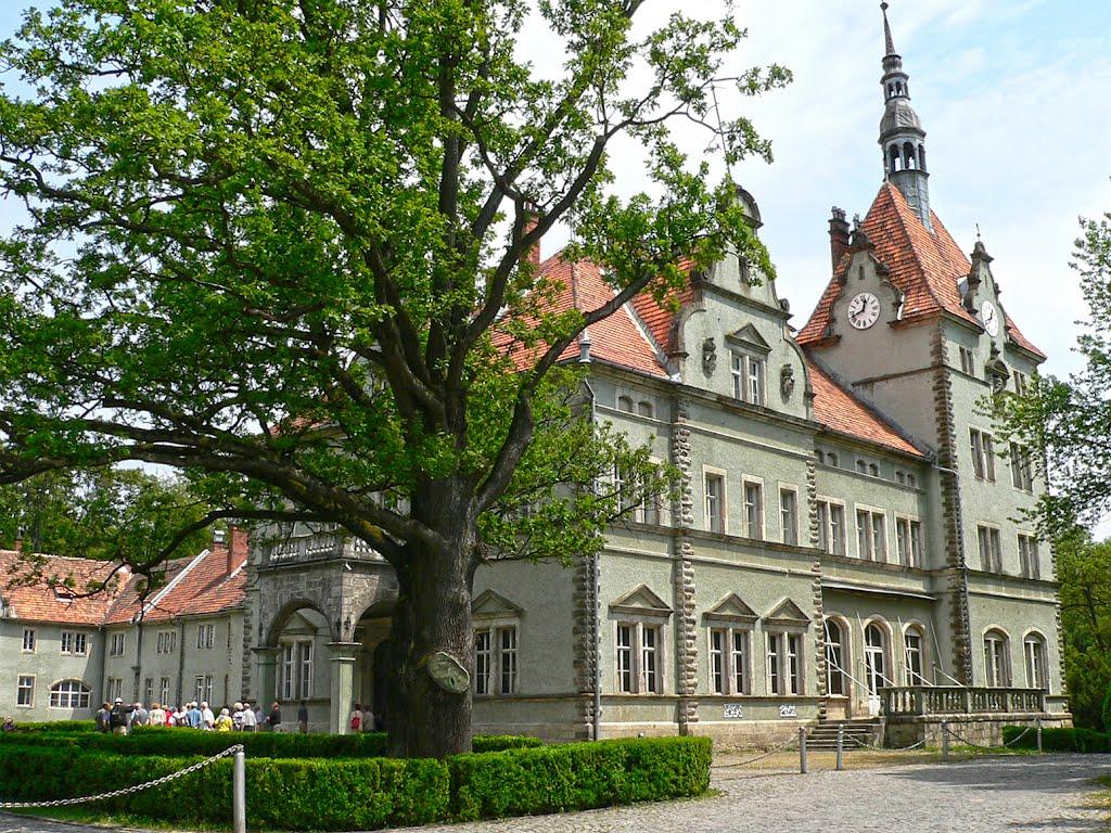 Карпати з panoramio.com - Карпаты