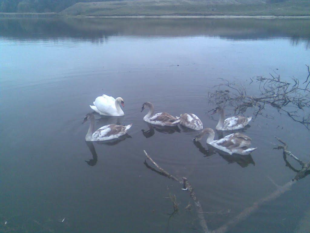 Майданівка з panoramio.com - Майданівка