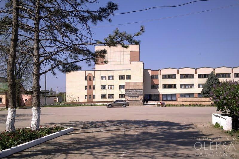 Янтарне з panoramio.com - Янтарне