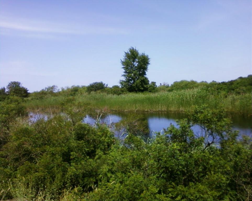 Чехівка з panoramio.com - Чеховка