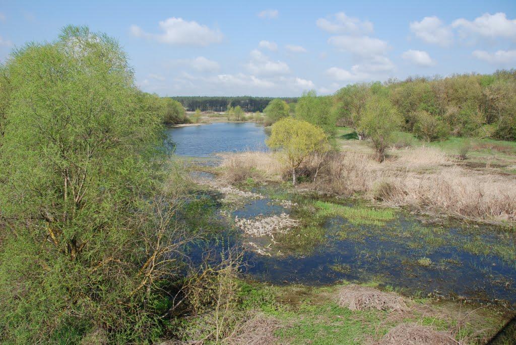 Байрак з panoramio.com - Байрак