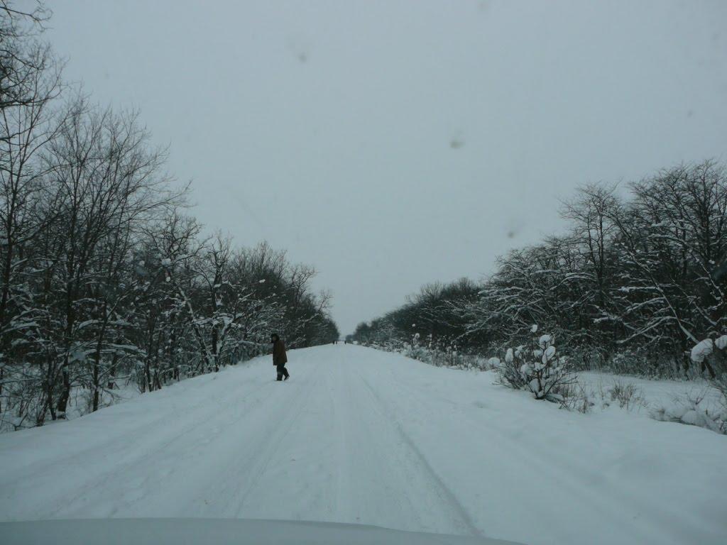 Зброжківка з panoramio.com - Zbrozhkivka