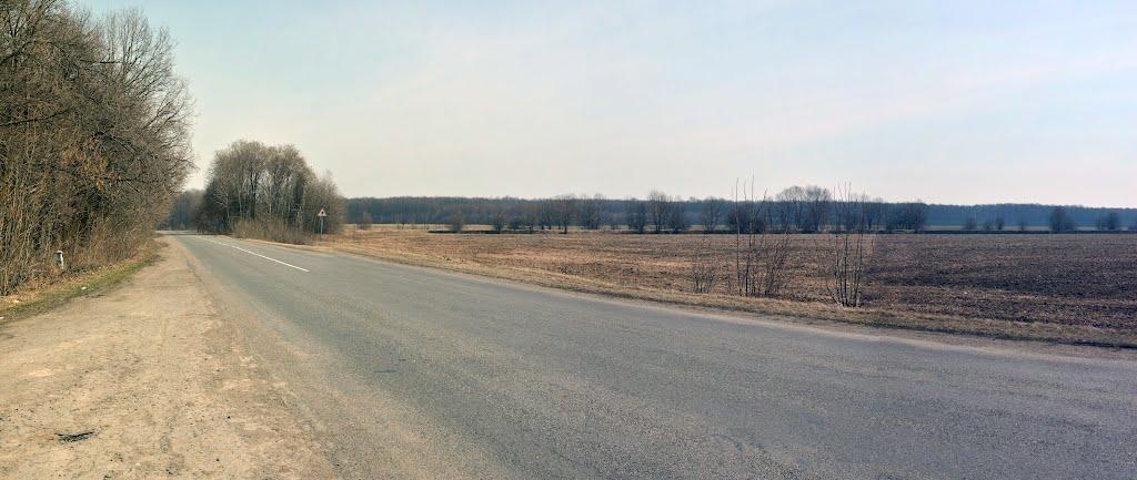 Кочержинці з panoramio.com - Кочержинцы