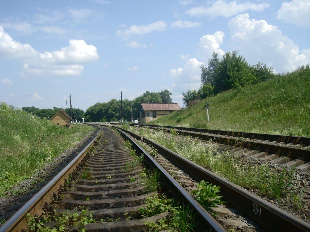 Шепетівка з panoramio.com (ч.2) - Шепетовка