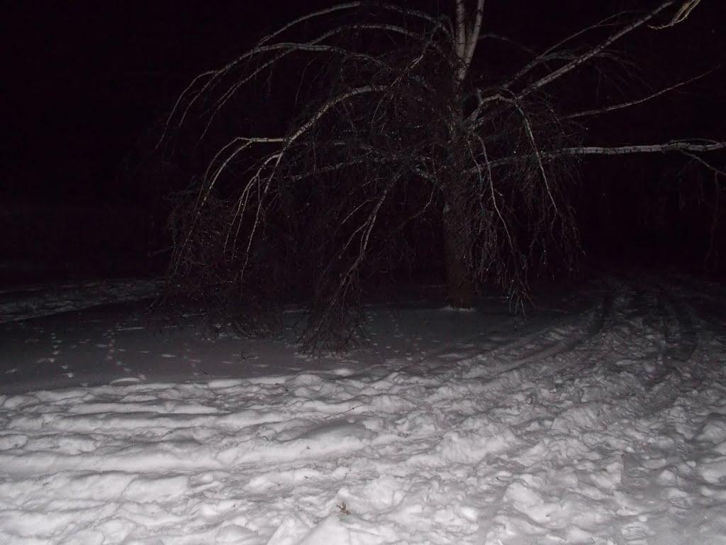 Зелене з panoramio.com - Зеленое