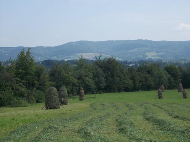 Баня-Березів з panoramio.com - Banya-Bereziv
