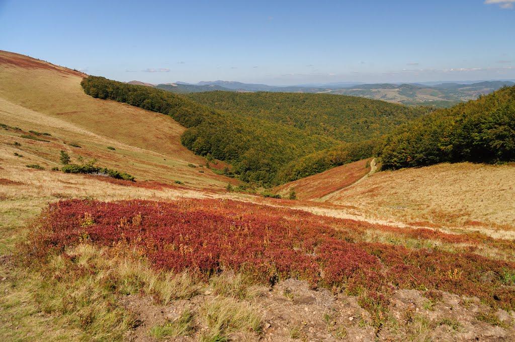Буковець з panoramio.com - Буковець