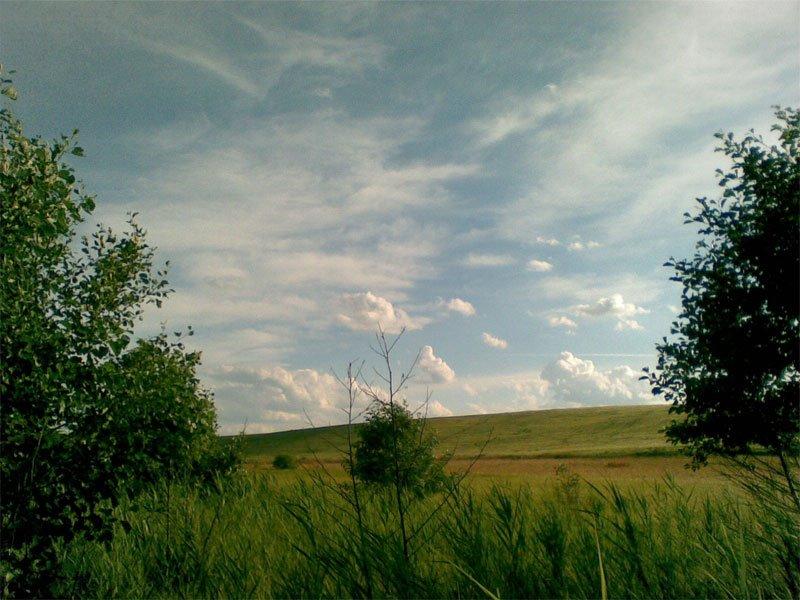 Вертелка з panoramio.com - Вертелка