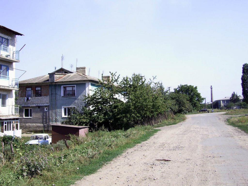 Борщі з panoramio.com - Борщі