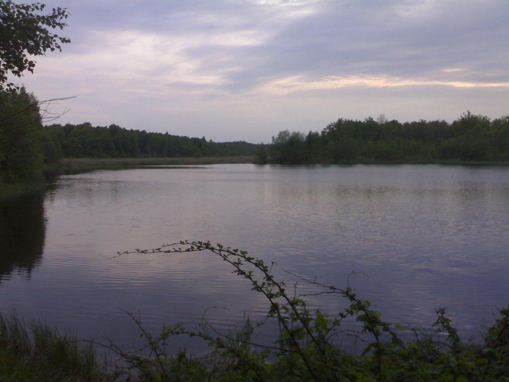 Лютіж з panoramio.com - Лютіж