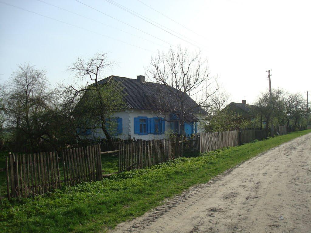Дроздні з panoramio.com - Дроздни