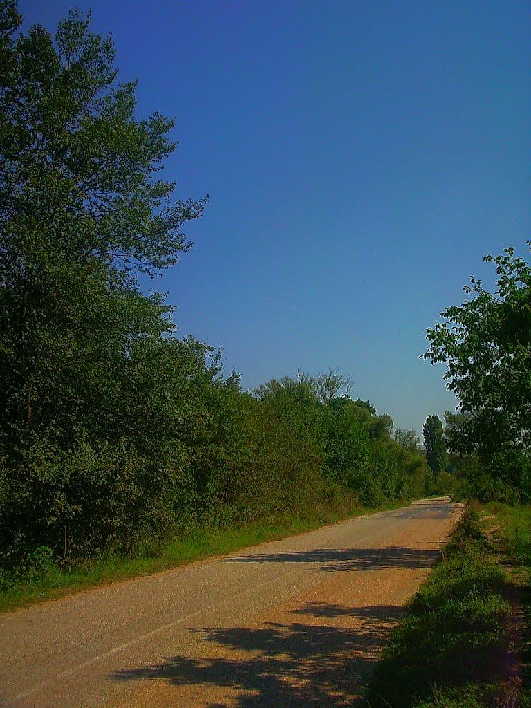 Плотинне з panoramio.com - Плотинное