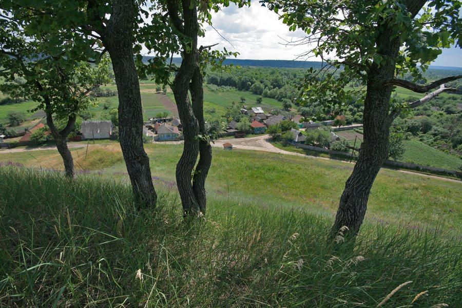 Литовка з panoramio.com - Литовка