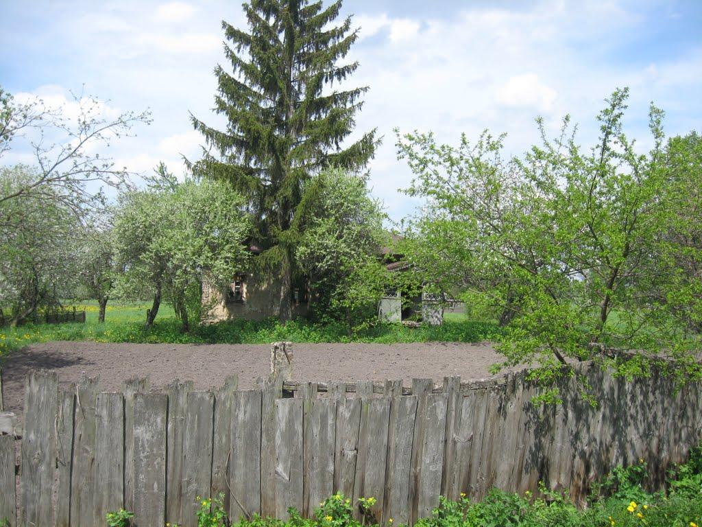 Кучі з panoramio.com - Кучі