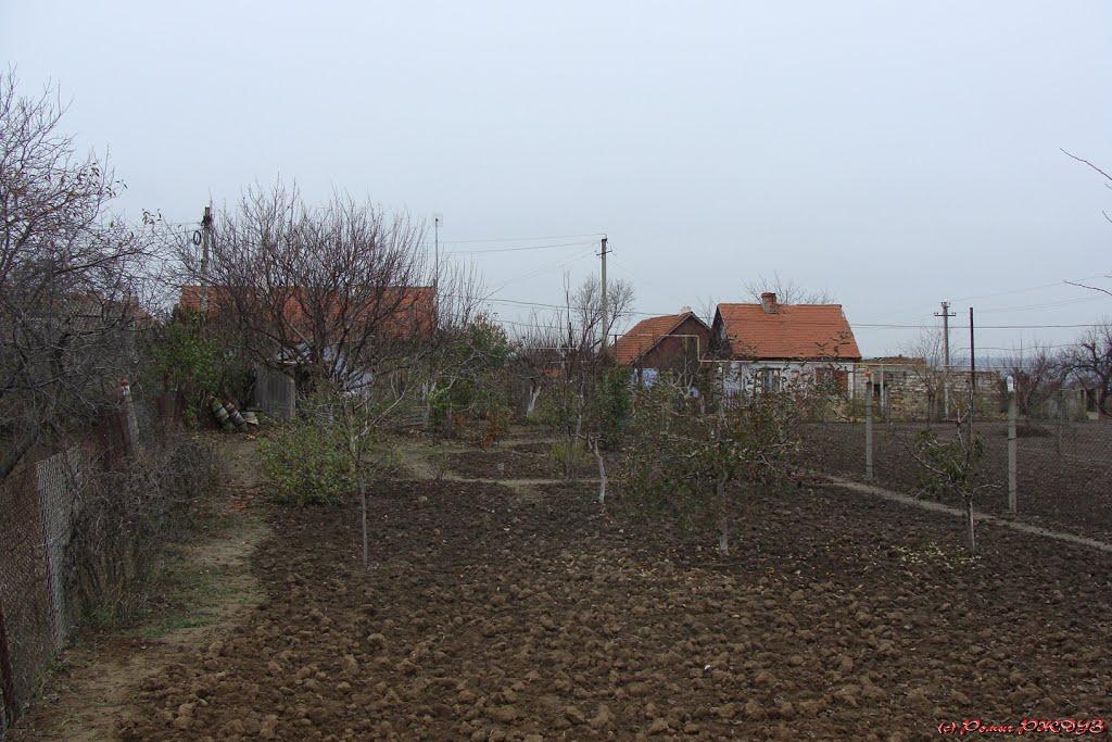 Лиманське з panoramio.com - Лиманское