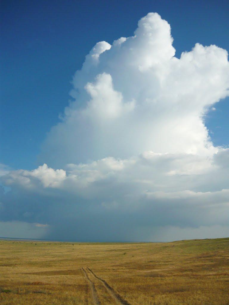 Нововідрадне з panoramio.com - Новоотрадное