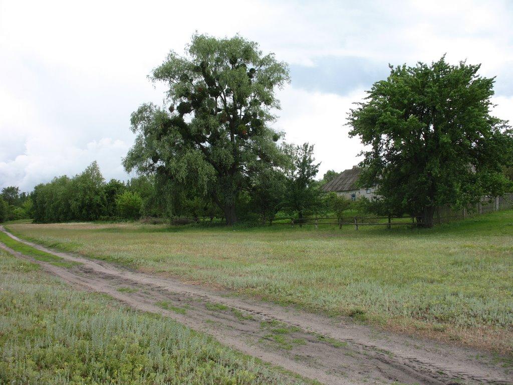 Сушки з panoramio.com - Сушки