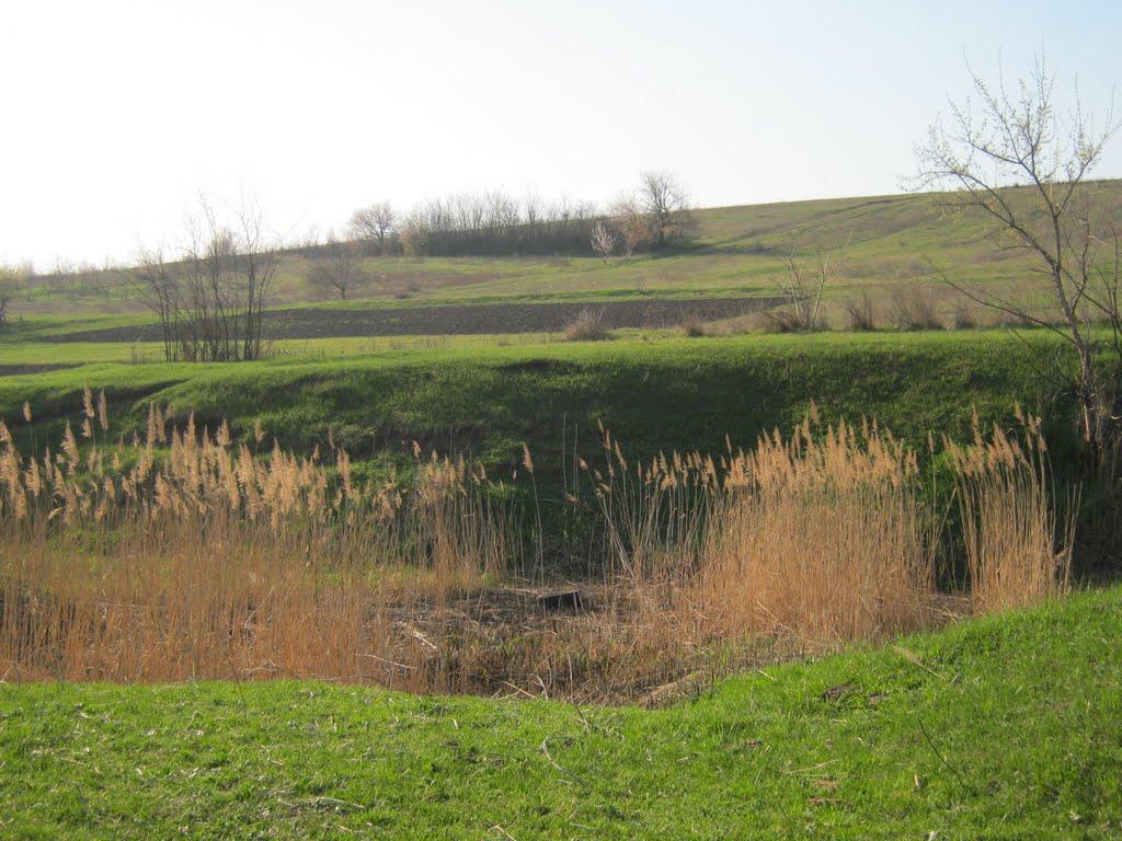 Котовськ з panoramio.com - Kotovsk