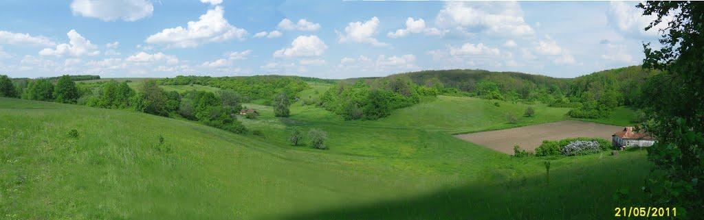 Храпачів Яр з panoramio.com - Khrapachiv Jar