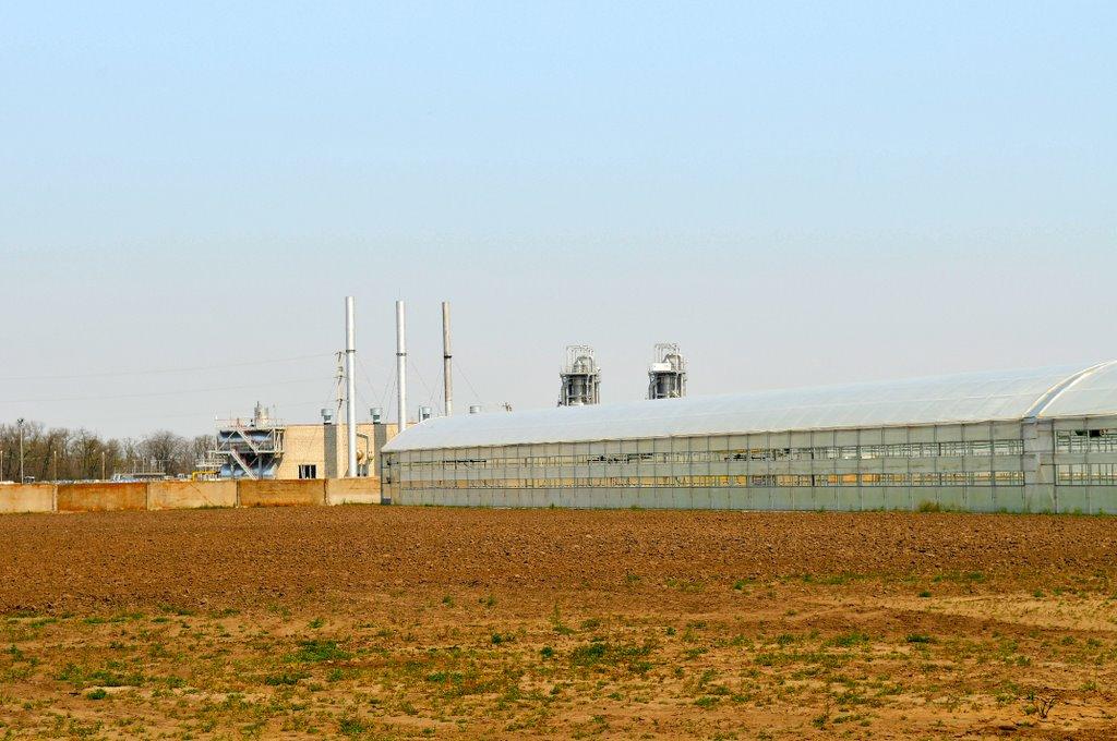 Гола Пристань з panoramio.com - Gola Prystan